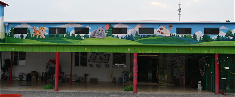 朗诺3.png 朗诺3.png